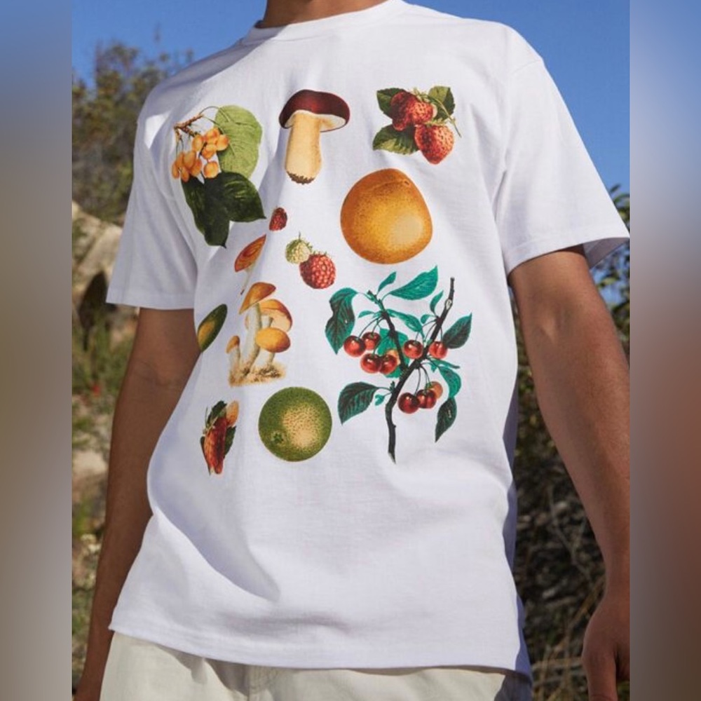 OBEY Fruits & Mushroom T Shirt Mens Med